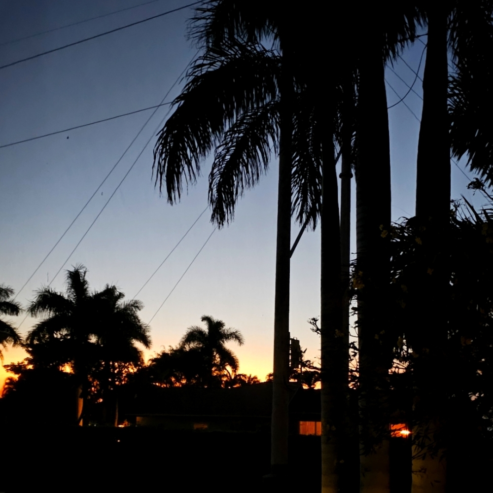 Meet your Posher, Dana